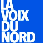 Article Ingelaere Avocat