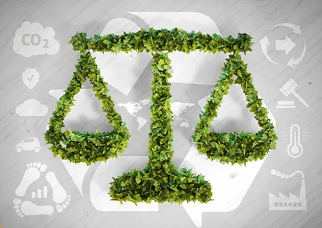 Code de l'environnement
